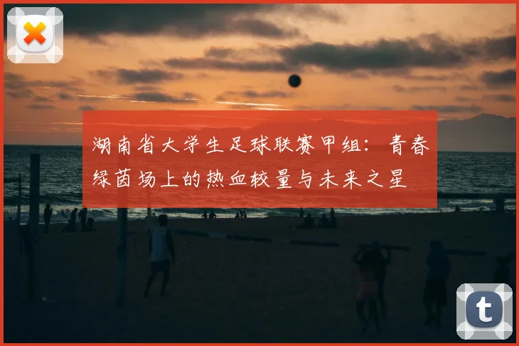 湖南省大学生足球联赛甲组:青春绿茵场上的热血较量与未来之星