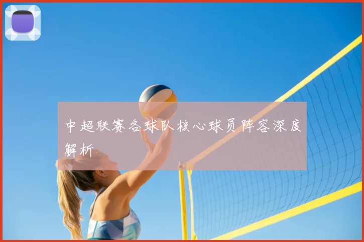 中超联赛各球队核心球员阵容深度解析