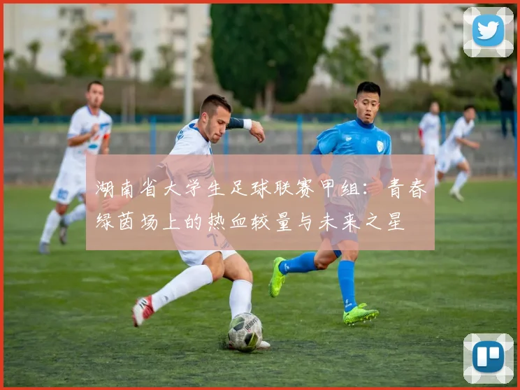 湖南省大学生足球联赛甲组:青春绿茵场上的热血较量与未来之星