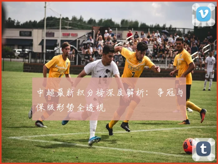 中超最新积分榜深度解析:争冠与保级形势全透视